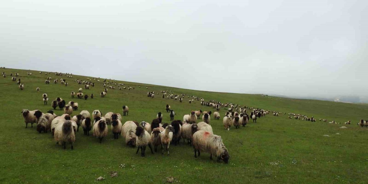Mera Islah Projesi yüz güldürdü