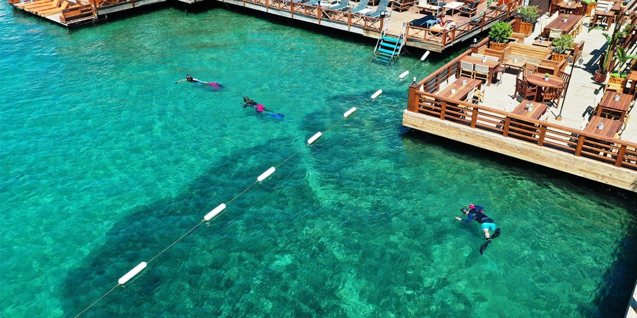 Bilinçsiz dalış omurilik travmalarına neden olabilir