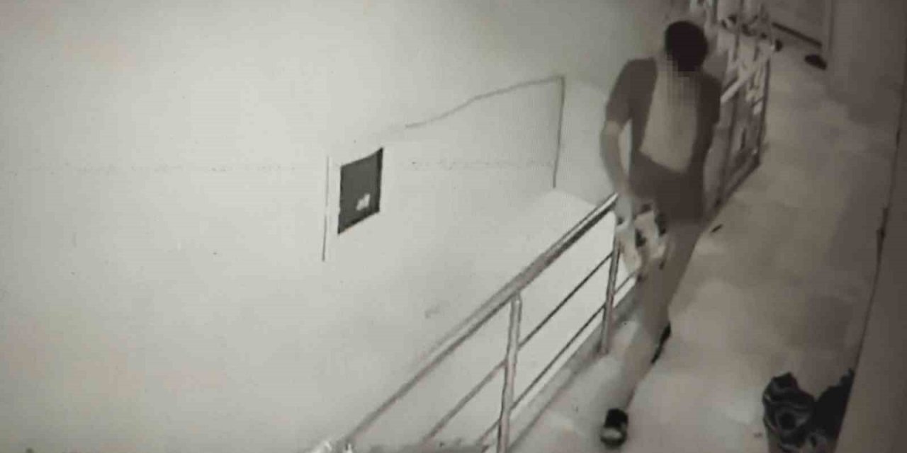 Nusaybin’de ayakkabı ve telefon hırsızları güvenlik kamerasına yansıdı