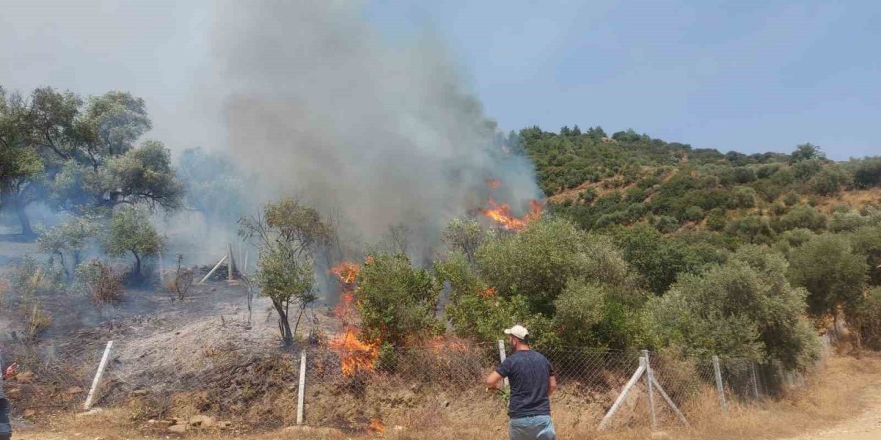 İzmir’de orman yangını başladı, havadan müdahale ediliyor