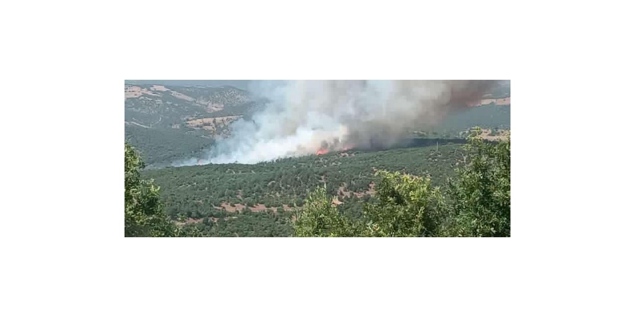Kütahya’daki orman yangını söndürülmeye çalışılıyor
