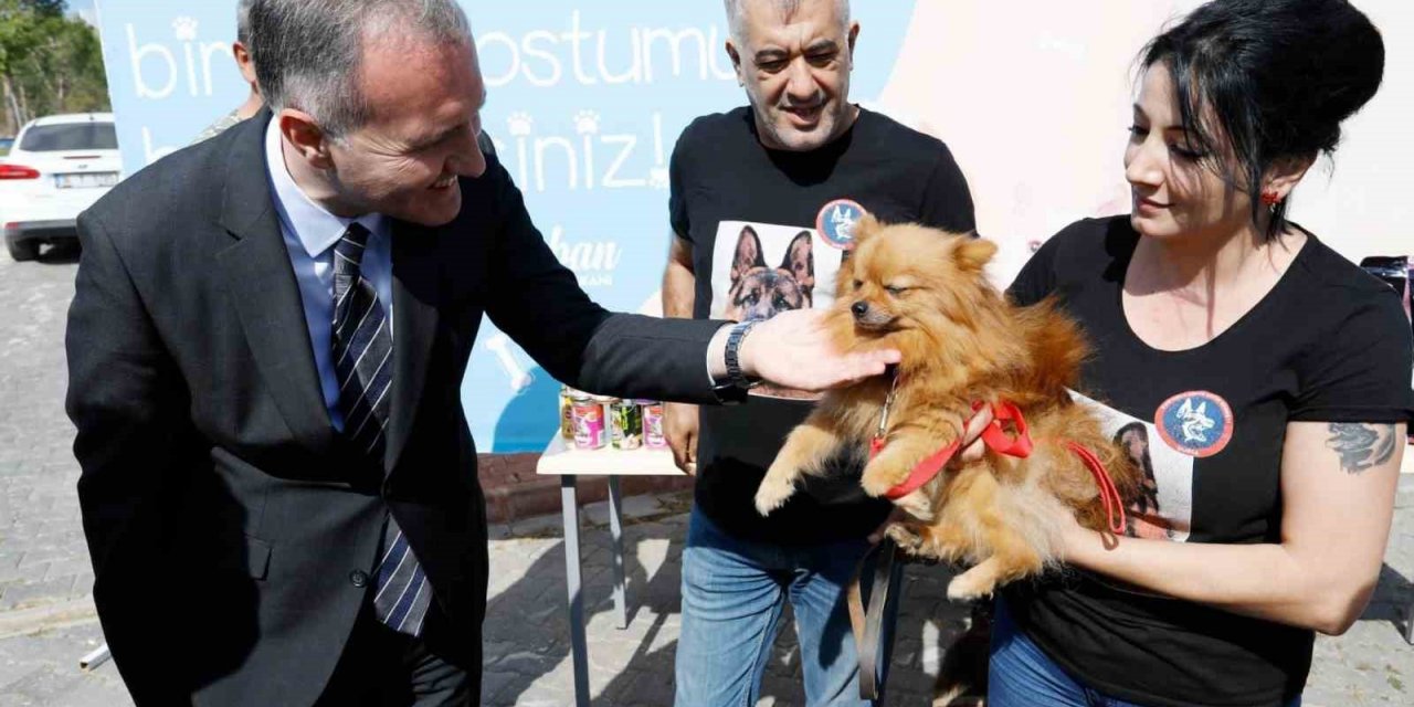 İnegöl Belediyesi 6 ayda 2 bin 700 hayvana şifa oldu