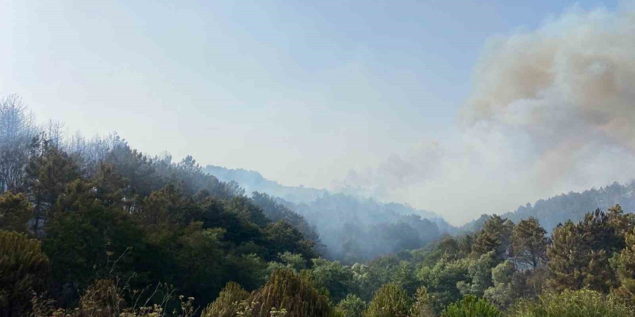 Beykoz’da iki farklı yerde orman yangını