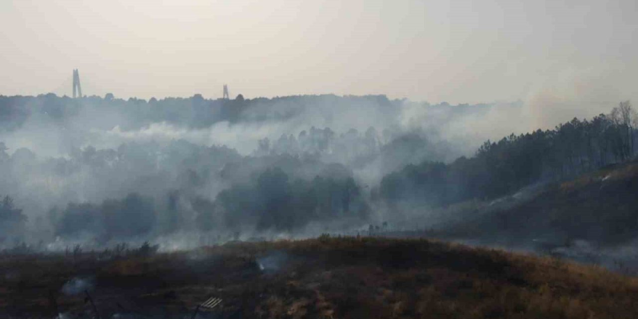 Beykoz’da çıkan orman yangını havadan görüntülendi
