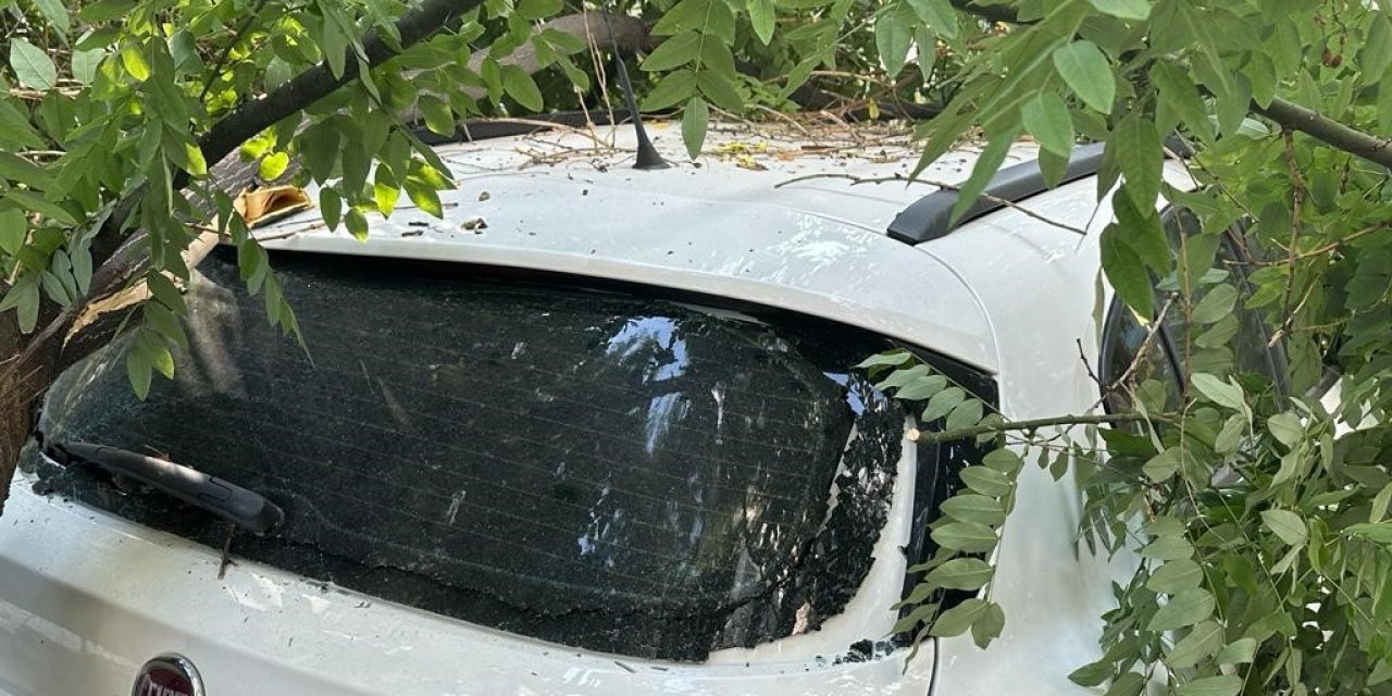 Başkentte aracın üstüne ağaç devrildi, vatandaşlar büyük panik yaşadı