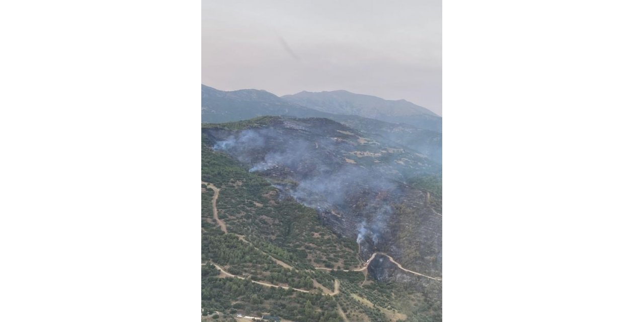 Ödemiş’teki yangın kontrol altına alındı