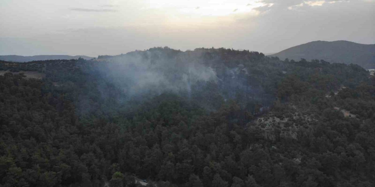 Çanakkale’deki orman yangınına günün ilk ışıklarıyla hava müdahalesi başladı