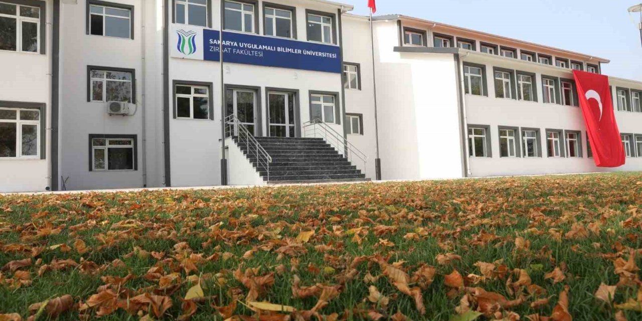 +1 Eğitim Modeli ile mezun olmadan iş deneyimi ve istihdam fırsatı