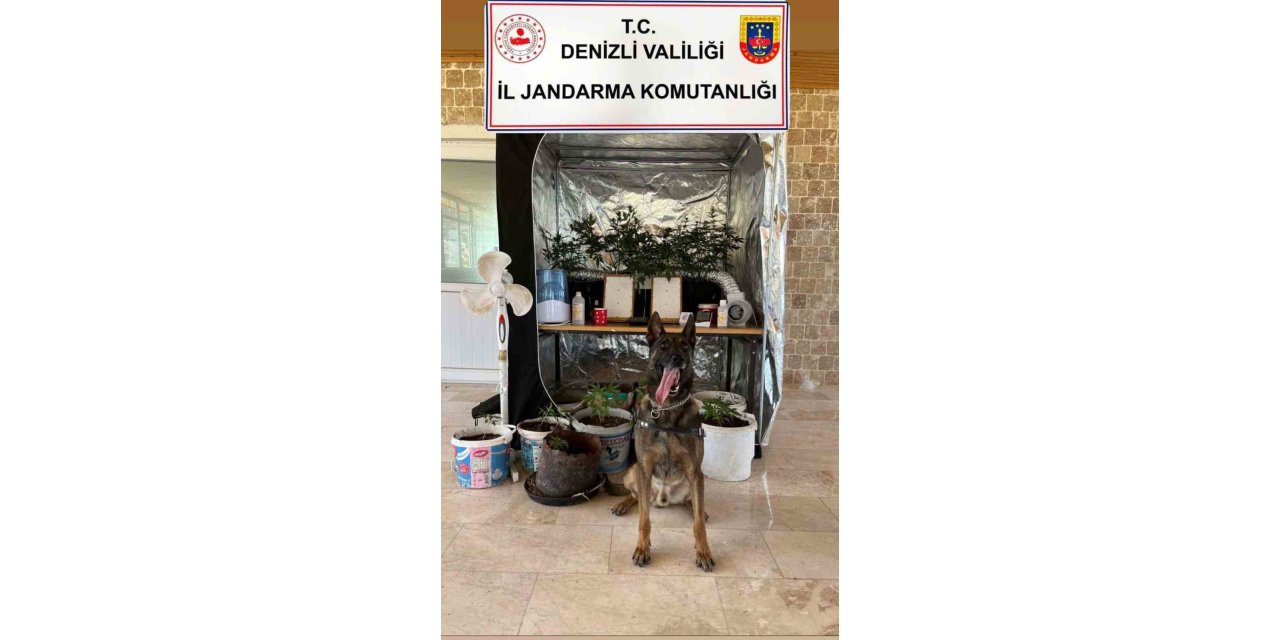 Denizli’de uyuşturucu imalathanesine operasyon