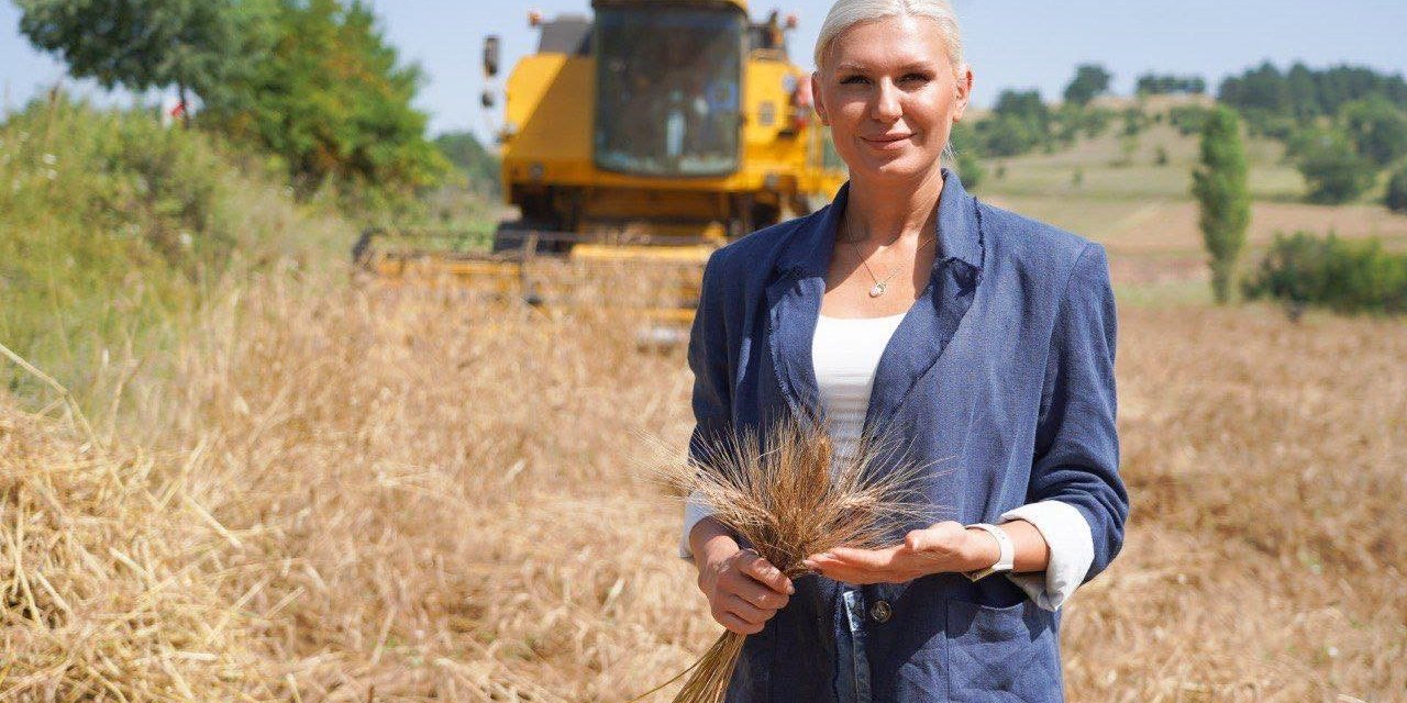Geçen yıl deneme amaçlı toprakla buluşan karakılçık buğdayının hasadı yapıldı