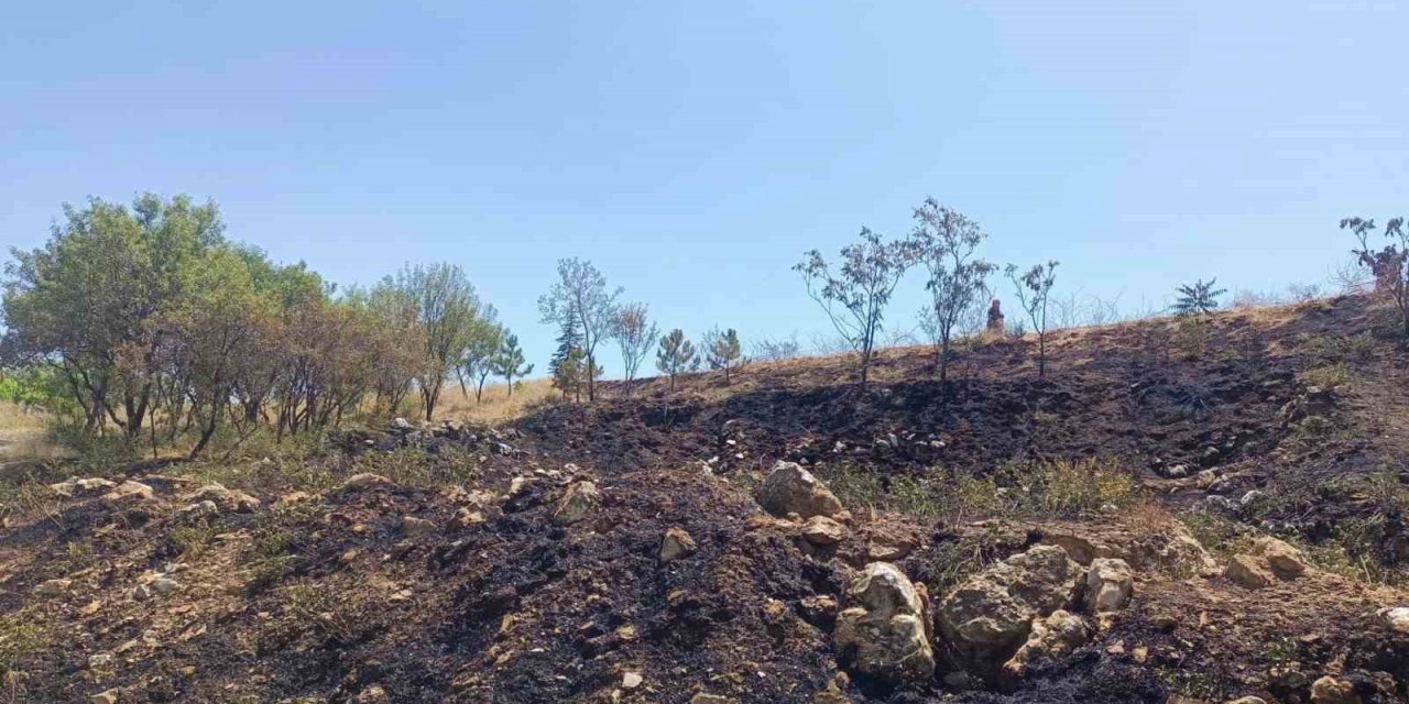 Çankırı’da anız yangını büyümeden söndürüldü