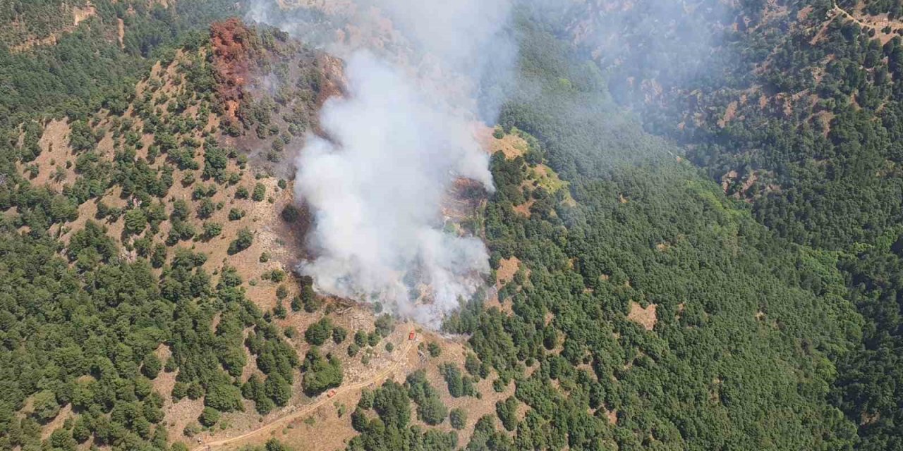 Alaşehir’de orman yangını