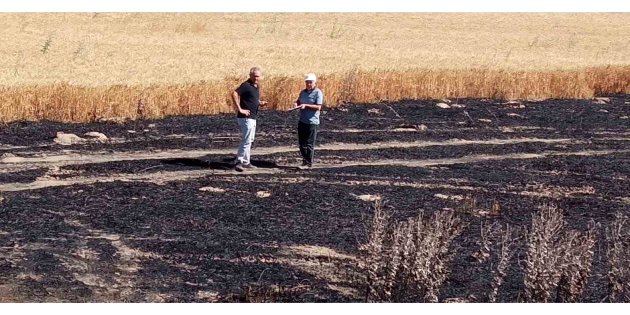 Arazi yangınında 50 dekarlık alan zarar gördü