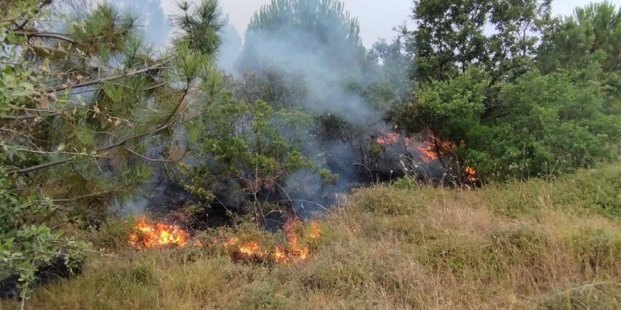 Araziye yıldırım düştü, yangın meydana geldi