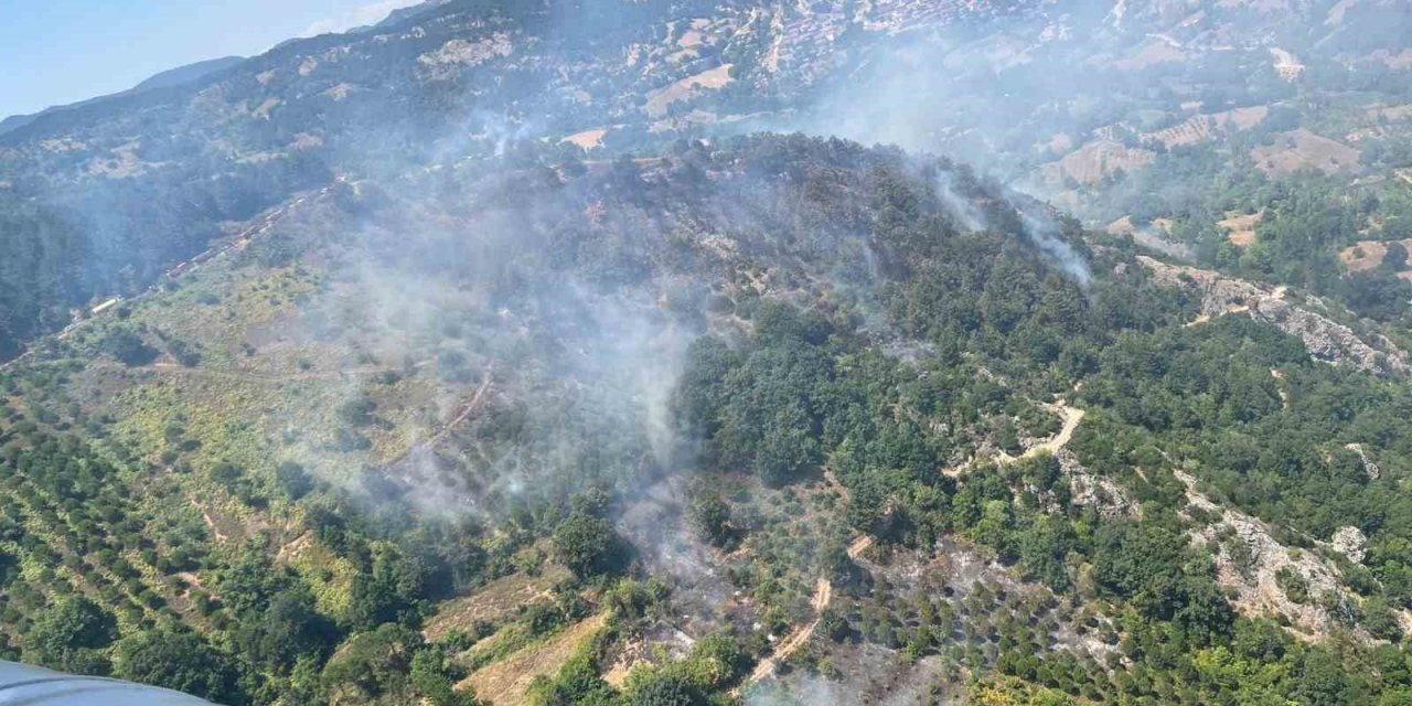 Balıkesir’de orman yangını