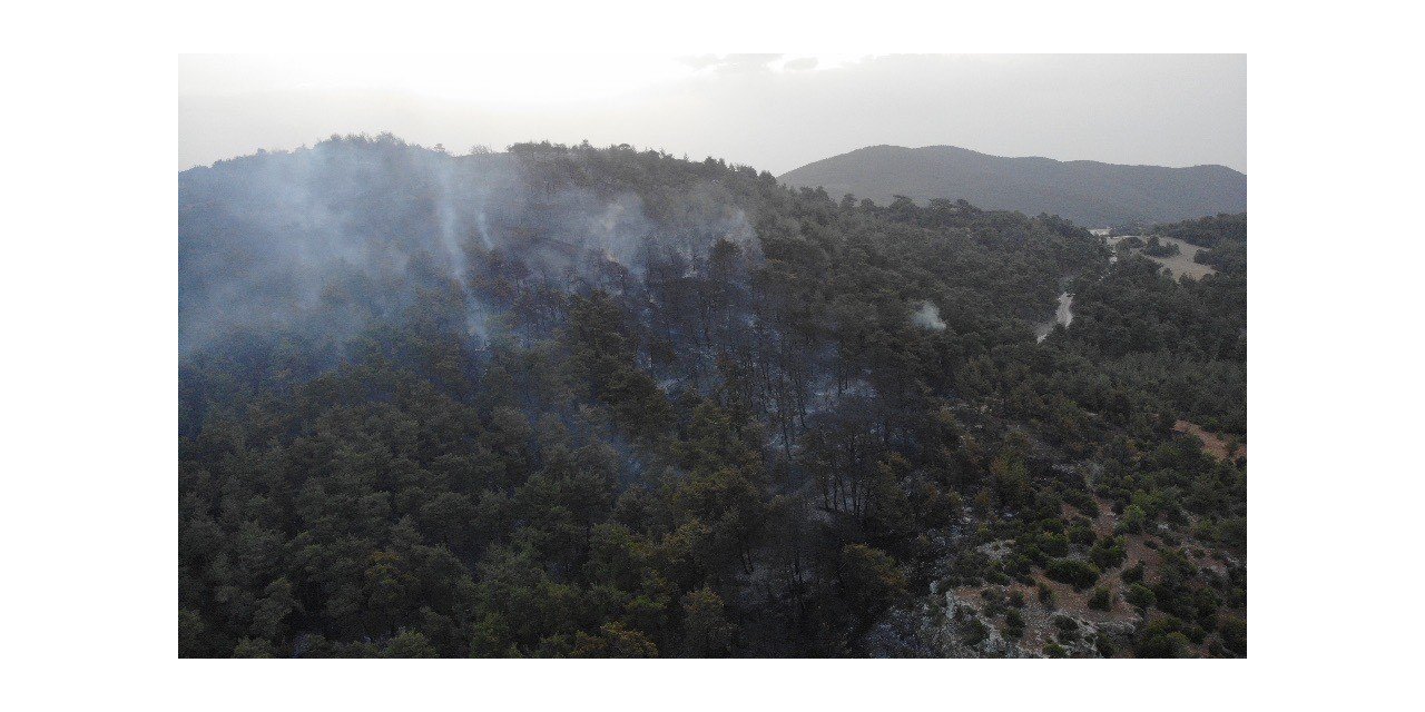 Çanakkale’deki orman yangını 16 saat sonra kontrol altına alındı