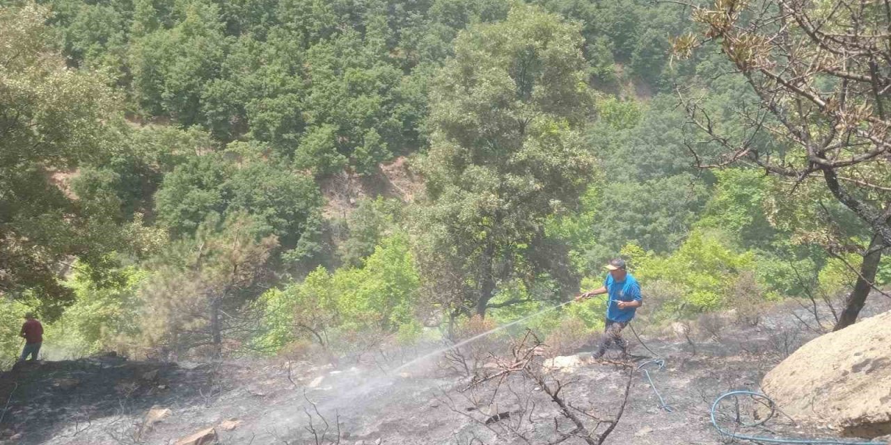 Alaşehir’deki orman yangını kontrol altında