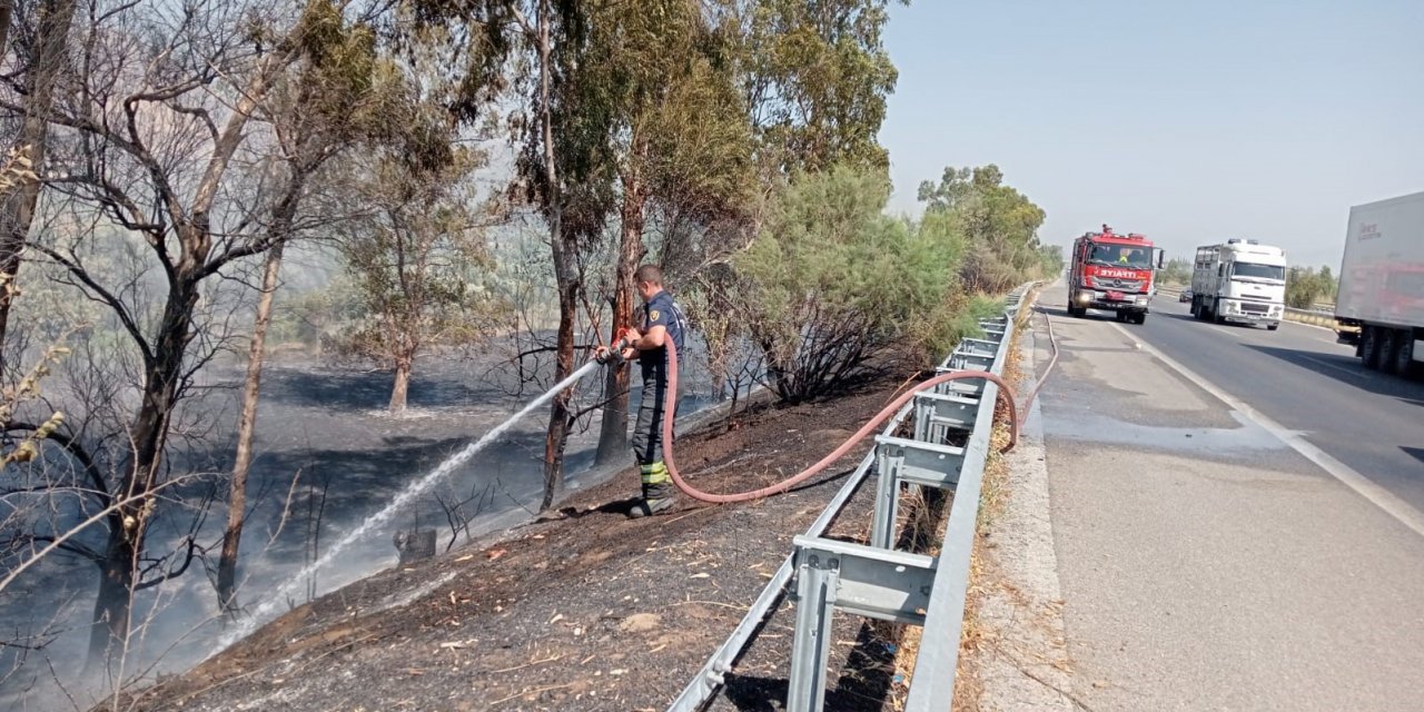 Otoyol kenarındaki yangın itfaiyenin müdahalesi ile söndürüldü
