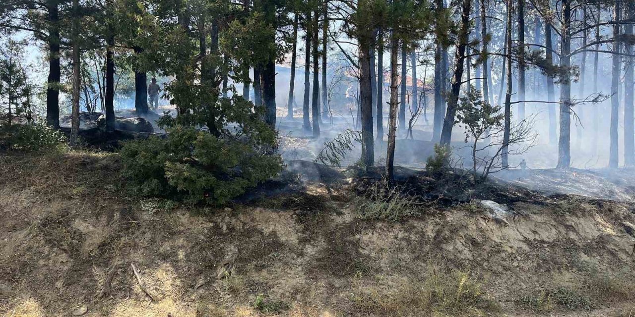 Gediz’de çamlık alanda çıkan yangın büyümeden söndürüldü