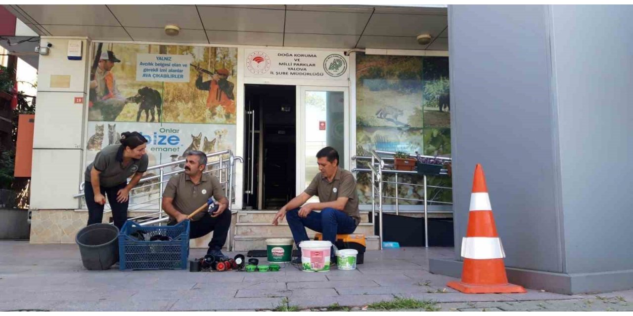 Yalova’da bıldırcın sesi çıkaran cihazlar imha edildi