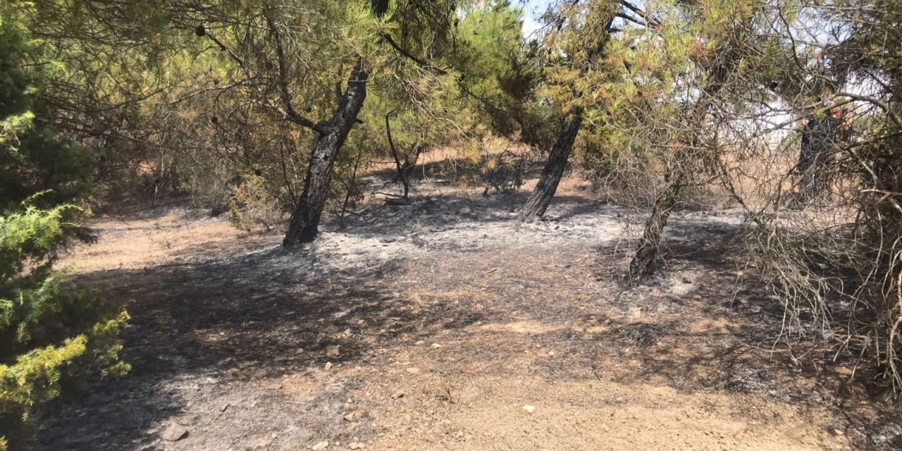 Bilecik’te 4 farklı bölgeye yıldırım düşmesi sonucu yangın çıktı