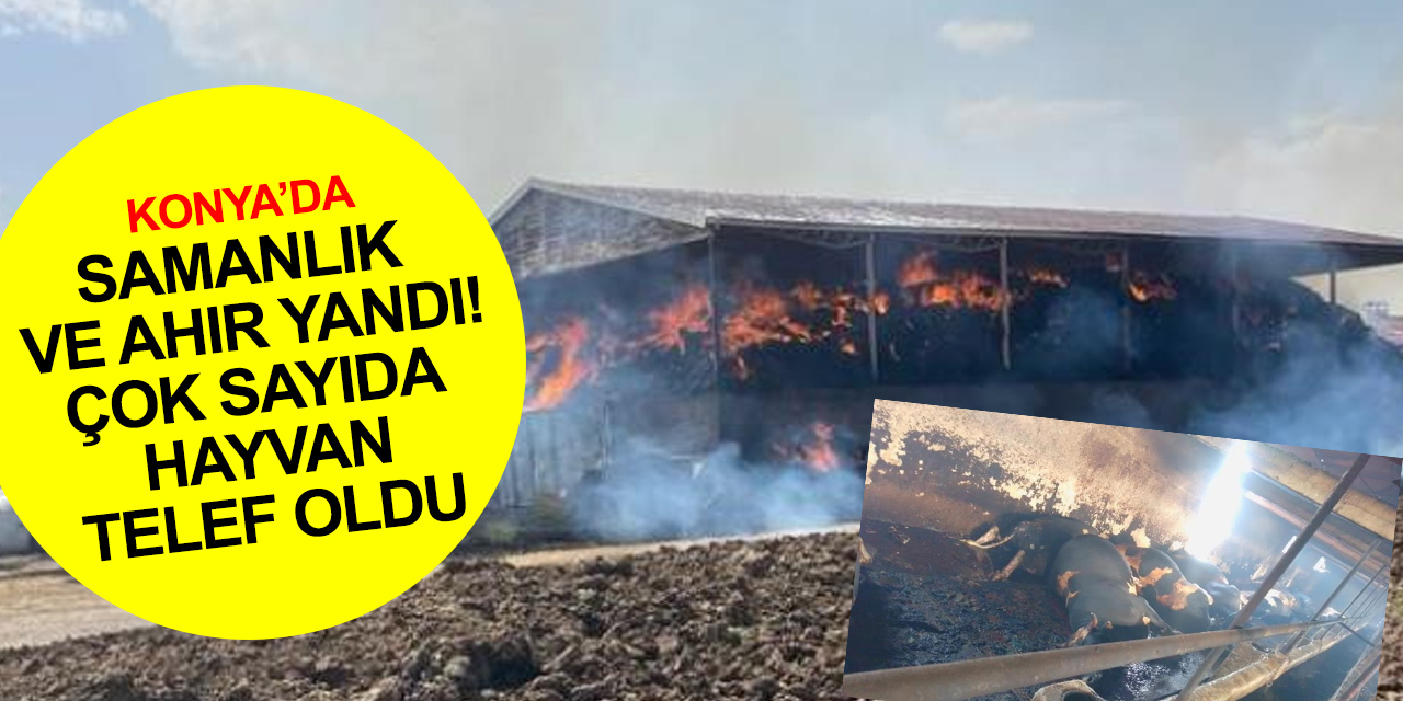 Konya’da samanlık yangını ahıra sıçradı! Çok sayıda büyükbaş hayvan telef oldu