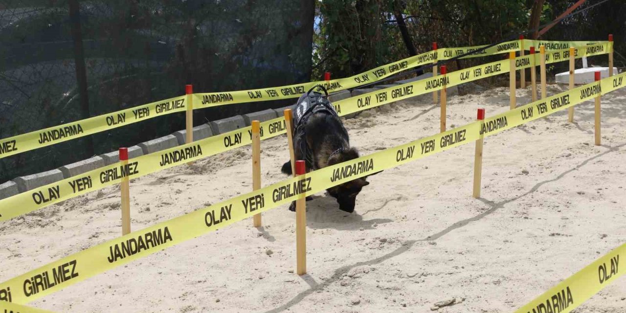 İDEF’te Jandarmadan mayın tatbikatı