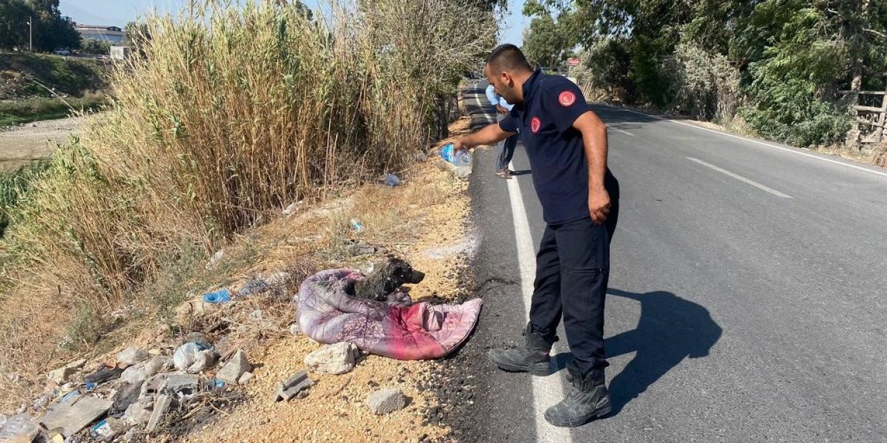 Bataklığa saplanan köpeği itfaiye kurtardı