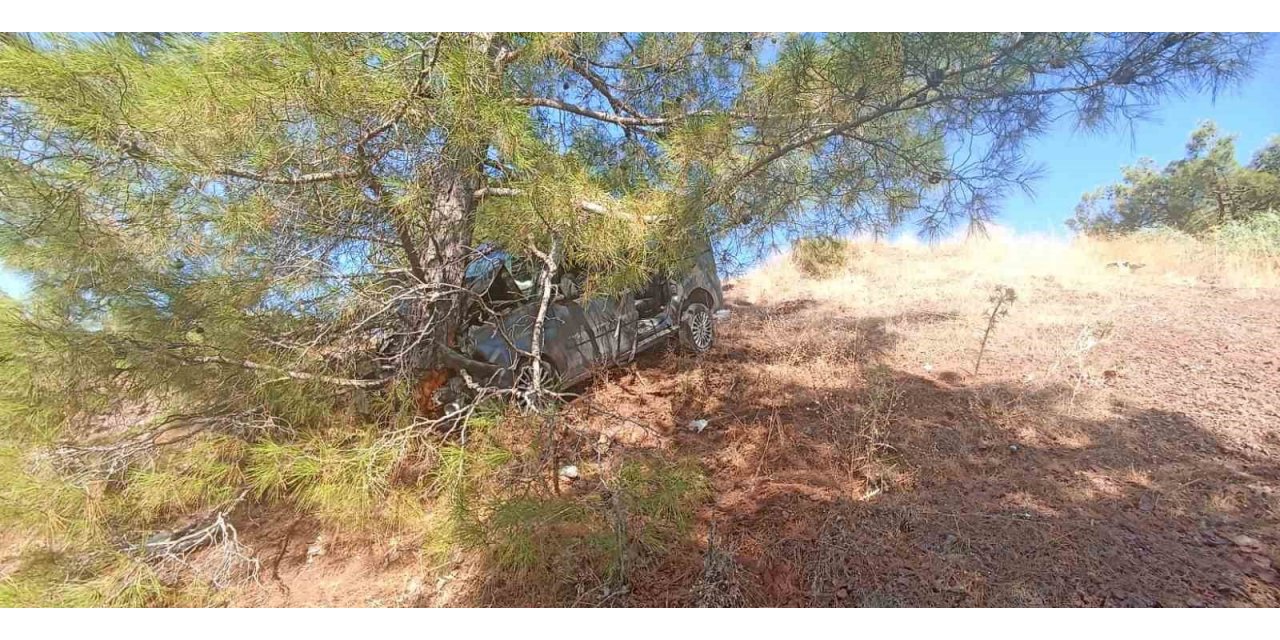 Uçuruma düşen araç, ağaca çarparak durdu