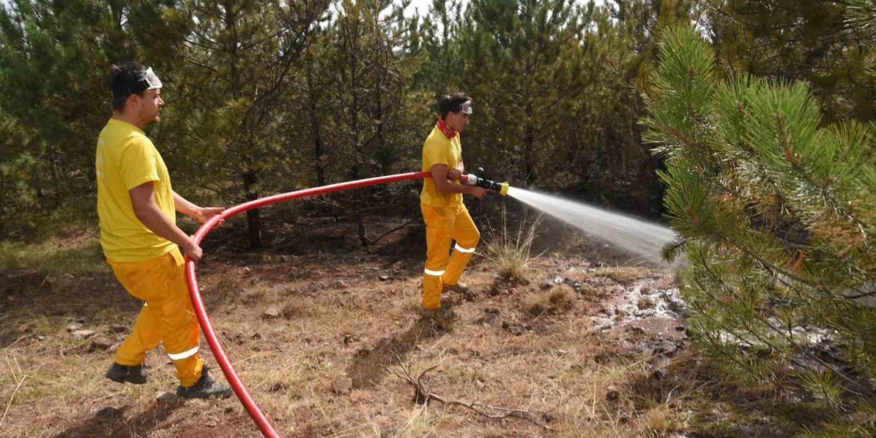 Orman yangını büyümeden söndürüldü