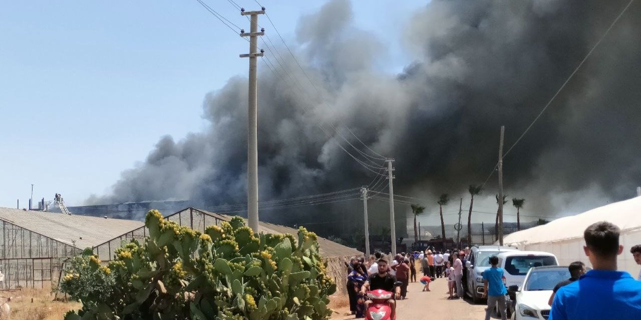 Antalya’da çiçek işleme tesisinde yangın