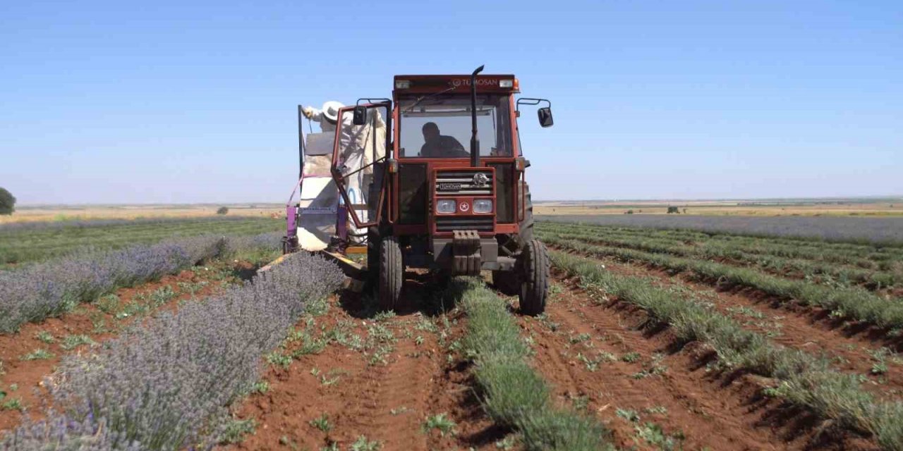 Başkan Altay: "Çiftçimizin yanında olmaya devam edeceğiz"