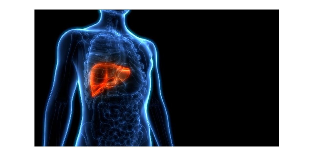 Hepatite karşı “Bilgilenin, aşılanın, korunun!”