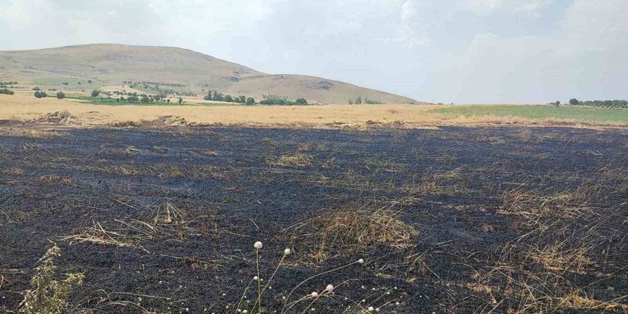 Arazi yangınında 3 dönüm ekili alan zarar gördü