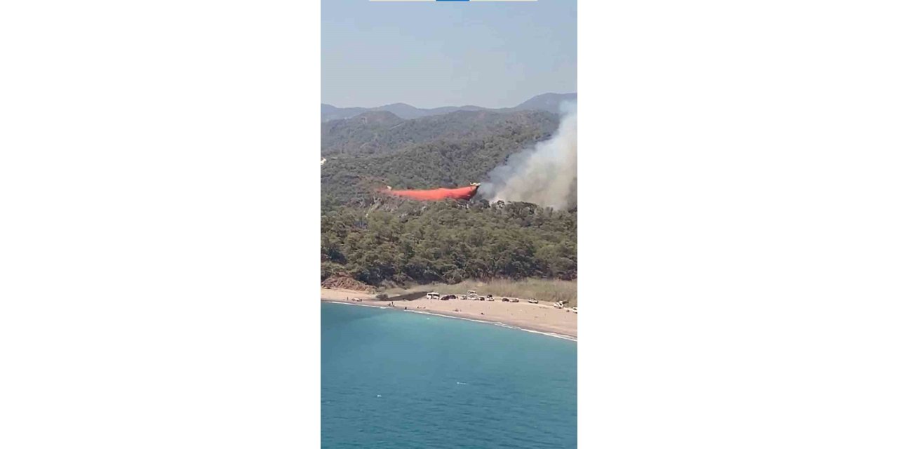 Fethiye’de orman yangını