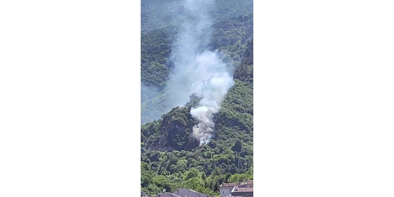 Bursa’daki orman yangınına havadan ve karadan müdahale ediliyor