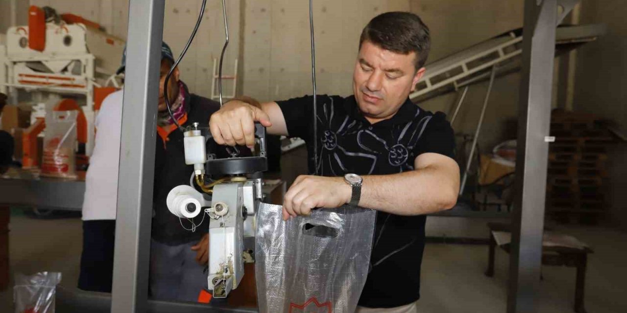 Aksaray Belediyesinin ürettiği nohutlar ihtiyaç sahibi ailelere dağıtılacak