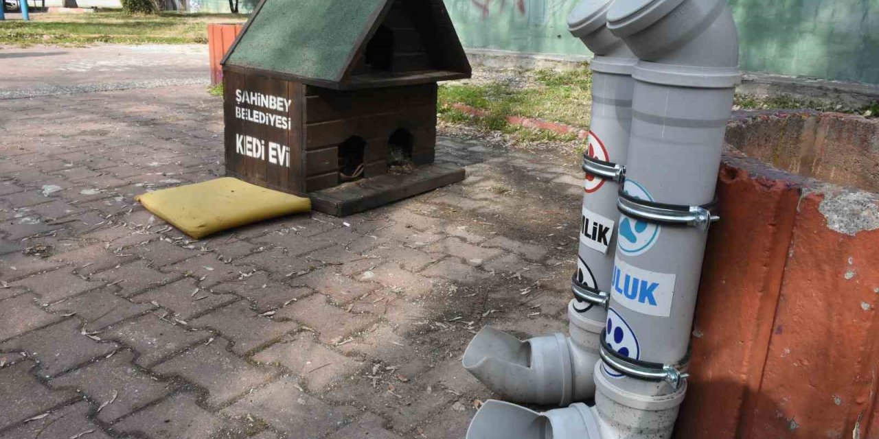 Sokak hayvanları için su çağrısı