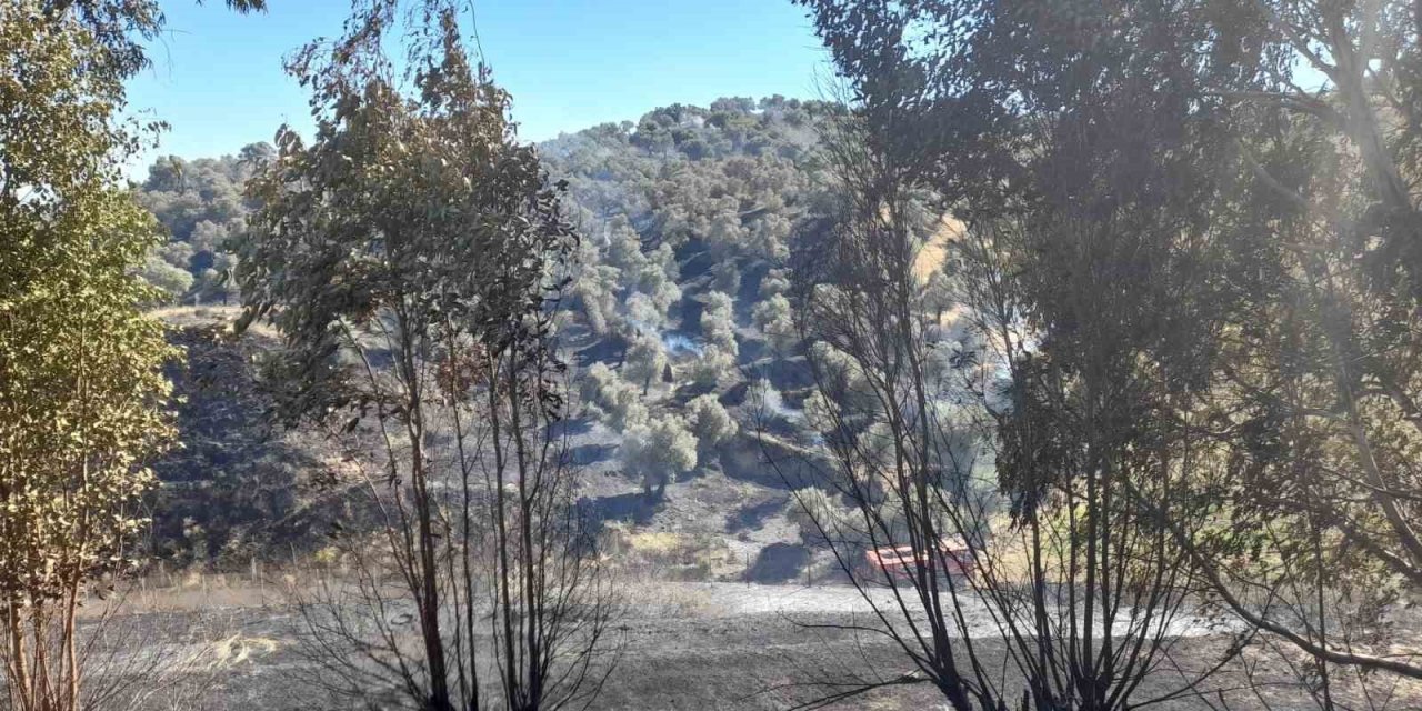 Aydın’da 1 günde 5 büyük yangın meydana geldi