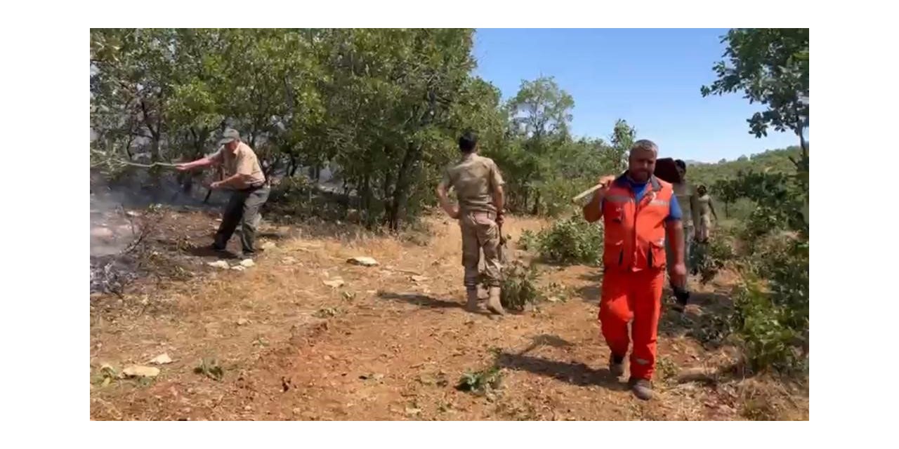 Diyarbakır’da çıkan örtü yangını 7 saat sonra kontrol altına alındı