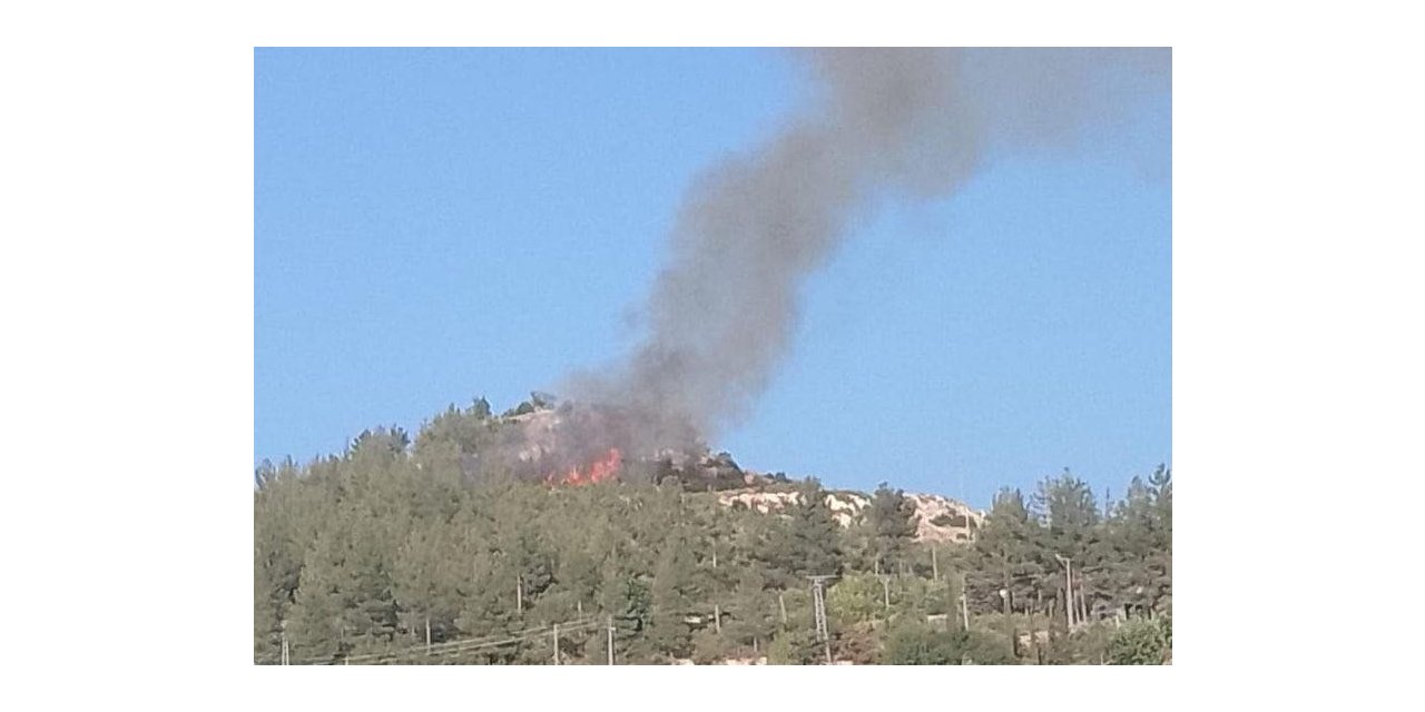 Osmaniye’de çıkan orman yangını kısa sürede söndürüldü