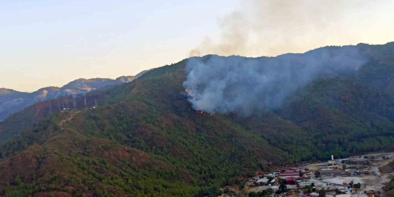 Marmaris orman yangını ile uyandı