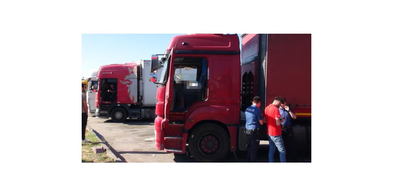 Tır sürücüsü direksiyon başında ölü bulundu