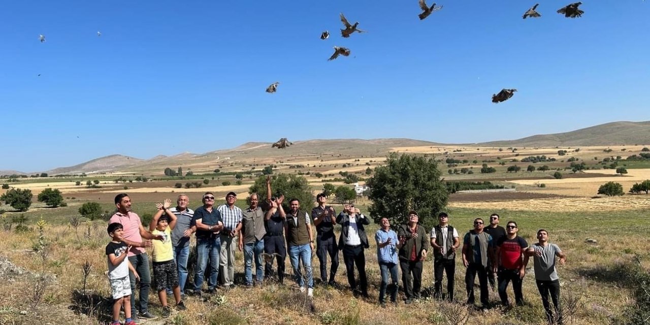 Eskişehir’de keklik avına yasak