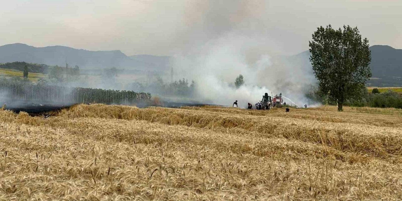 Yenipazar’da ekin tarlarında peş peşe yangın