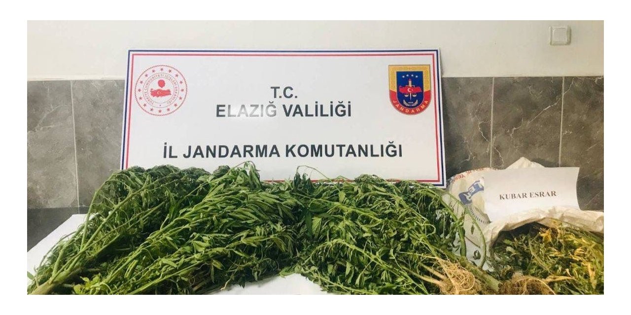 Damla sulama sistemiyle kenevir yetiştiren şüpheli suçüstü yakalandı