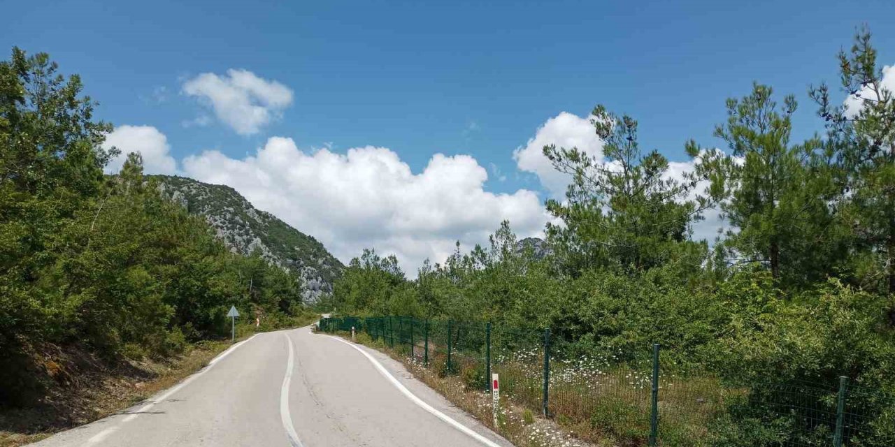 Samsun Valiliği’nden orman yangınlarına karşı uyarı