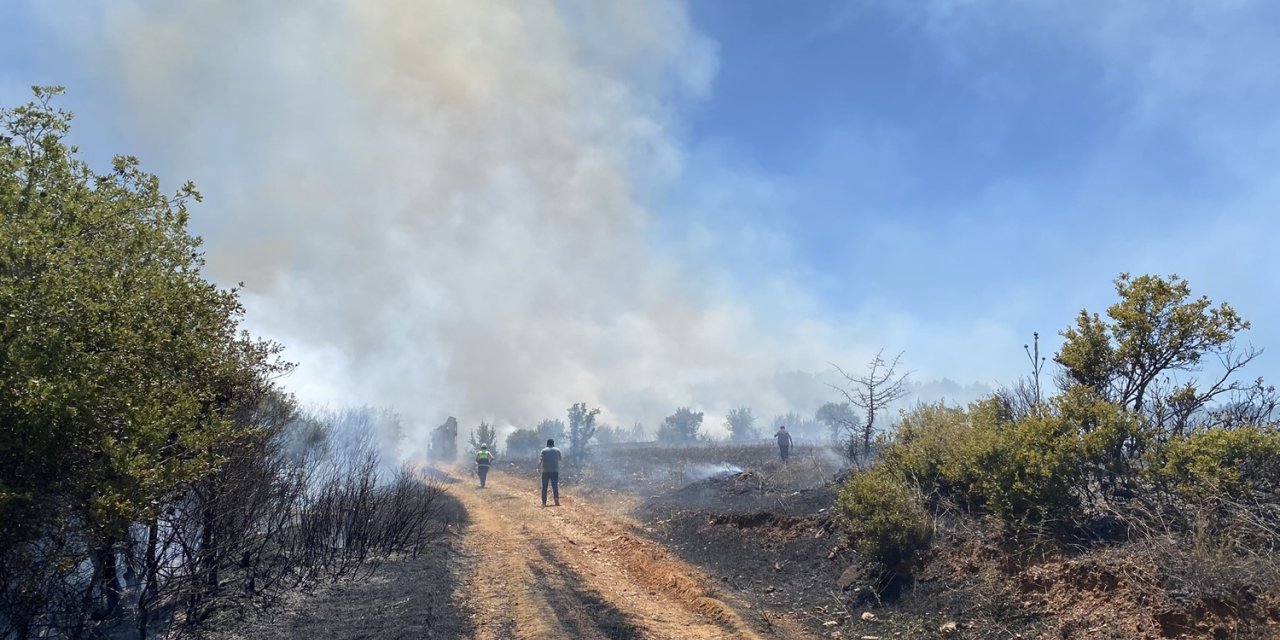 Manisa’da makilik alanda yangın