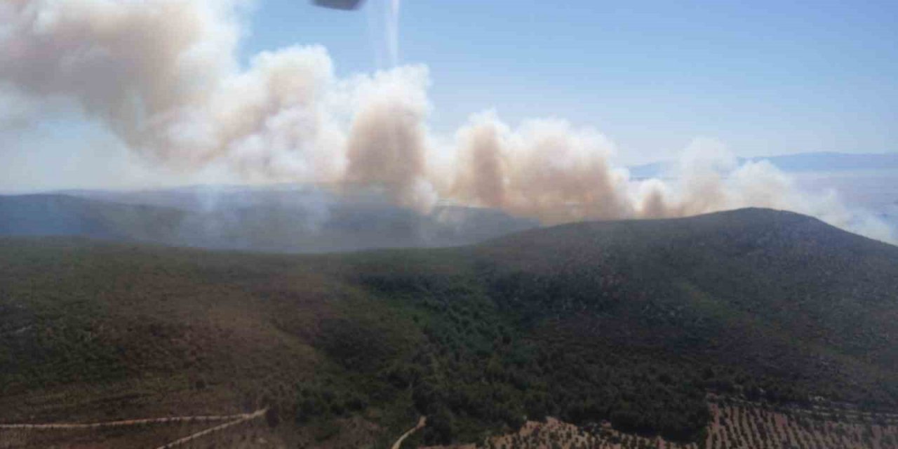 Çeşme’de orman yangını
