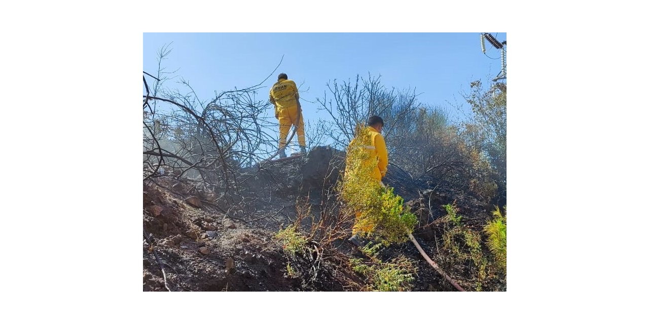 Osmaniye’de orman yangını, büyümeden söndürüldü